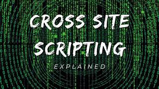 Panduan Lengkap Cross Site Scripting: Dari Teori ke Praktik OIP (4)